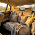 Siège arrière confortable avec coussin décoratif pour voiture