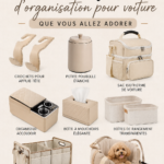 Accessoires d'organisation pour voitures sur une table