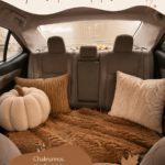 Intérieur d'une voiture décorée avec des éléments automnaux, confortable et accueillant.