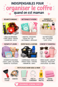 Coffre de voiture bien organisé avec des sacs et des compartiments pour un rangement optimal.