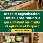 Un camping-car bien organisé avec des placards ajustés pour maximiser l'espace