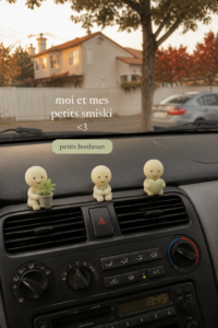 Une voiture personnalisée avec des accessoires élégants et colorés.