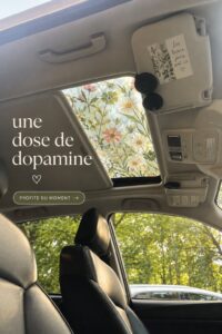 Intérieur de voiture personnalisé avec des accessoires joyeux et confortables